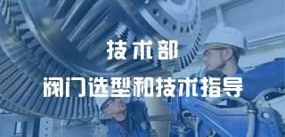 技術(shù)部閥門(mén)選型和技術(shù)指導(dǎo)聯(lián)系電話